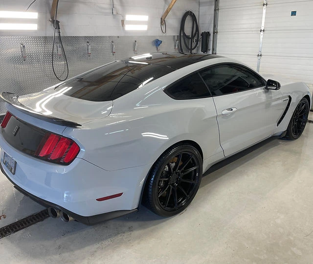 Mobile Car Detailing in Mississauga
